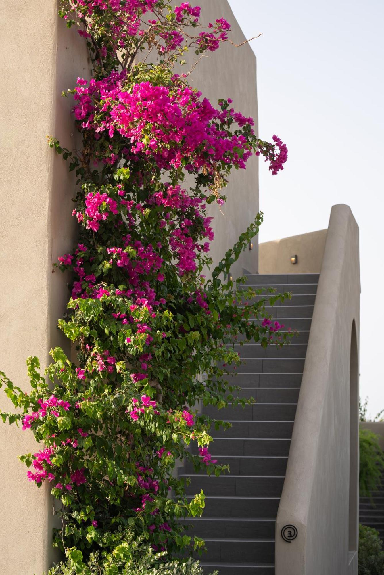 Colombos Beachfront Foinikia  Exterior photo